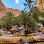 charo machi khuzdar beautiful date trees and water pools