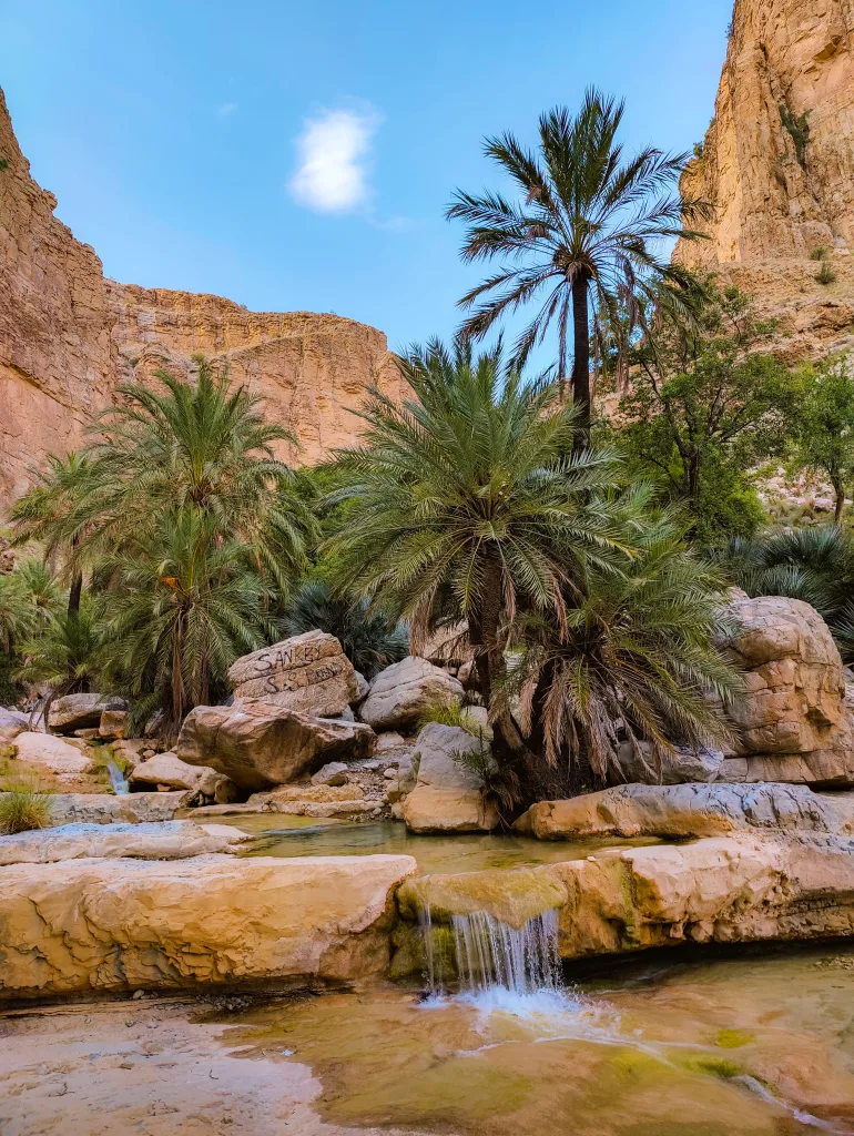 charo machi khuzdar beautiful date trees and water pools