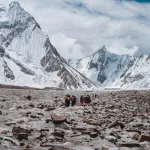 Vigne Glacier Gondogoro La K2 Base Camp Trek