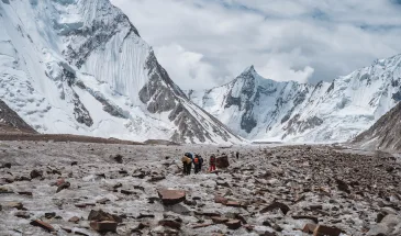 Vigne Glacier Gondogoro La K2 Base Camp Trek