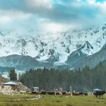 fairy meadows nanga parbat
